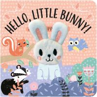 Book Cover for Hello, Little Bunny! by J EmmersonHicks