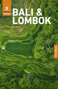 Book Cover for Rough Guides Bali and Lombok by Rough Guides