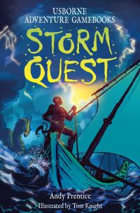 Book Cover for Storm Quest by Andy Prentice