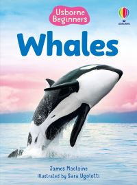 Book Cover for Beginners Whales by James Maclaine