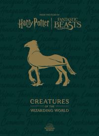 Book Cover for Harry Potter by Jody Revenson