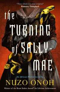 Book Cover for The Turning of Sally-Mae by Nuzo Onoh