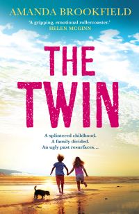 Book Cover for The Twin by Amanda Brookfield