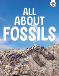 Book Cover for All About Fossils by Rebecca Storm