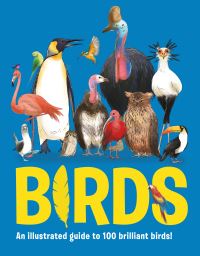 Book Cover for Birds by Eliza Jeffery