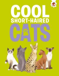 Book Cover for Cool Short-Haired Cats by Eliza Jeffery