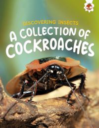 Book Cover for A Collection of Cockroaches by Rebecca Storm