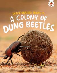 Book Cover for A Colony of Dung Beetles by Rebecca Storm