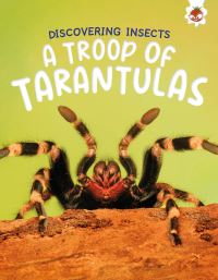 Book Cover for A Troop of Tarantulas by Rebecca Storm