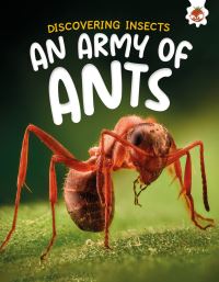 Book Cover for An Army of Ants by Rebecca Storm
