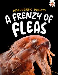 Book Cover for A Frenzy of Fleas by Rebecca Storm