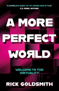 Book Cover for A More Perfect World by Rick Goldsmith
