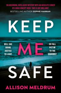 Book Cover for Keep Me Safe by Allison Meldrum