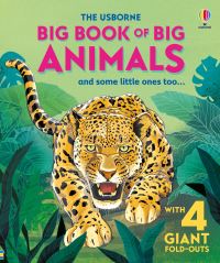 Book Cover for Big Book of Big Animals by Hazel Maskell