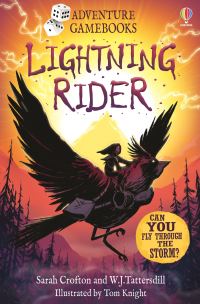 Book Cover for Lightning Rider by Sarah Crofton, W J Tattersdill