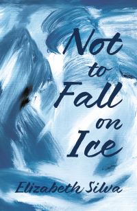 Book Cover for Not to Fall on Ice by Elizabeth Silva