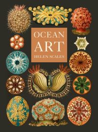 Book Cover for Ocean Art by Helen Scales