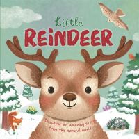 Book Cover for Little Reindeer by Rose Harkness