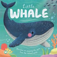 Book Cover for Little Whale by Alexandra Chapman