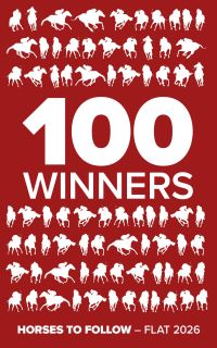 Book Cover for 100 Winners by Rodney Pettinga