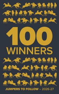 Book Cover for 100 Winners by Rodney Pettinga