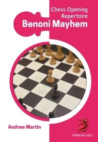 Book Cover for Benoni Mayhem by Andrew Martin