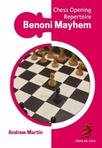 Book Cover for Benoni Mayhem by Andrew Martin