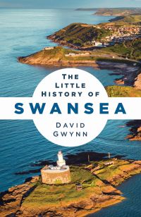 Book Cover for The Little History of Swansea by David Gwynn