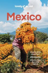 Book Cover for Lonely Planet Mexico by Lonely Planet