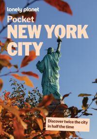 Book Cover for Pocket New York City by John McGarry, Brian Healy