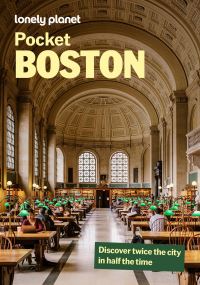 Book Cover for Pocket Boston by Megan Graieg