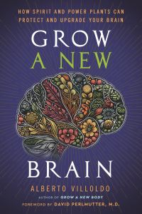 Book Cover for Grow a New Brain by Alberto Villoldo