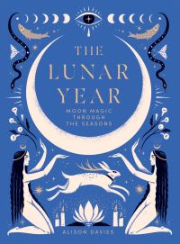 Book Cover for The Lunar Year by Alison Davies