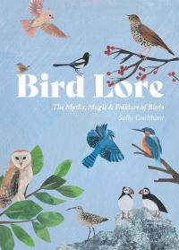 Book Cover for Bird Lore by Sally Coulthard
