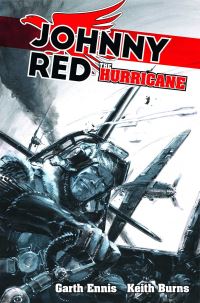Book Cover for The Hurricane by Garth Ennis