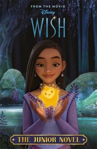 Book Cover for Disney Wish by Walt Disney