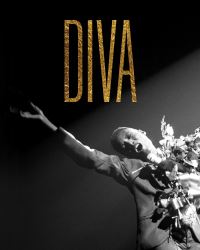 Book Cover for Diva by Victoria and Albert Museum