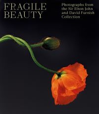 Book Cover for Fragile Beauty by Victoria and Albert Museum