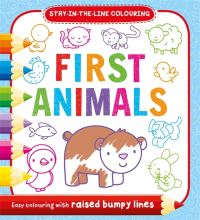 Book Cover for First Animals by Igloo Books Ltd