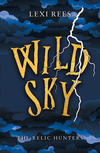 Book Cover for Wild Sky by Lexi Rees