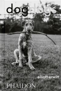 Book Cover for DogDogs by P G Wodehouse