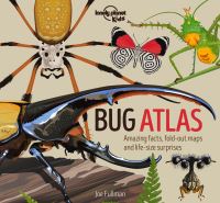 Book Cover for Bug Atlas by Joe Fullman, Nick Crumpton