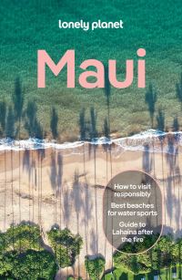 Book Cover for Lonely Planet Maui by Lonely Planet