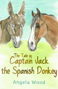 Book Cover for The Tale of Captain Jack the Spanish Donkey by Angela Wood