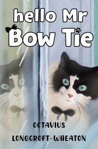Book Cover for Hello Mr Bow Tie by Octavius LongcroftWheaton