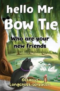 Book Cover for Hello Mr Bow Tie, Who Are Your New Friends by Octavius LongcroftWheaton