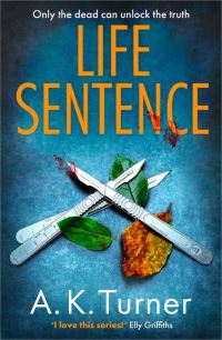 Book Cover for Life Sentence by A K Turner