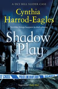 Book Cover for Shadow Play by Cynthia HarrodEagles