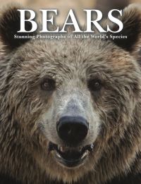 Book Cover for Bears by Tom Jackson