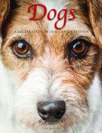Book Cover for Dogs by Tom Jackson